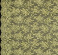 Chantilly Lace #3