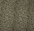 Silk Georgette #3