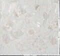 Applique Embroidered Chantilly Lace #2
