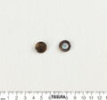 Horn Buttons #2