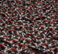Stretch Silk Satin #3