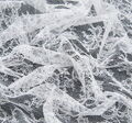 Chantilly Lace #4