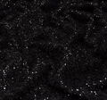 Sequined & Appliqued Organza #3