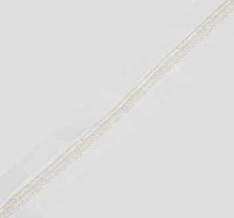 Embroidered Tulle Trim #1