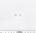 Mother of Pearl Buttons #2
