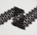 Embroidered Lace Trim #3