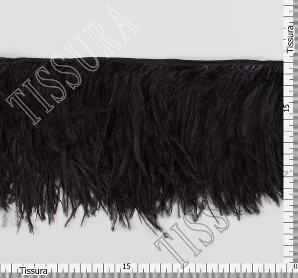 Ostrich Feather Trim #2