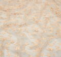 Embroidered Tulle #4