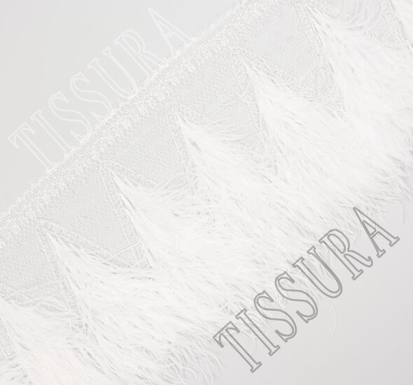 Embroidered Lace Trim #1