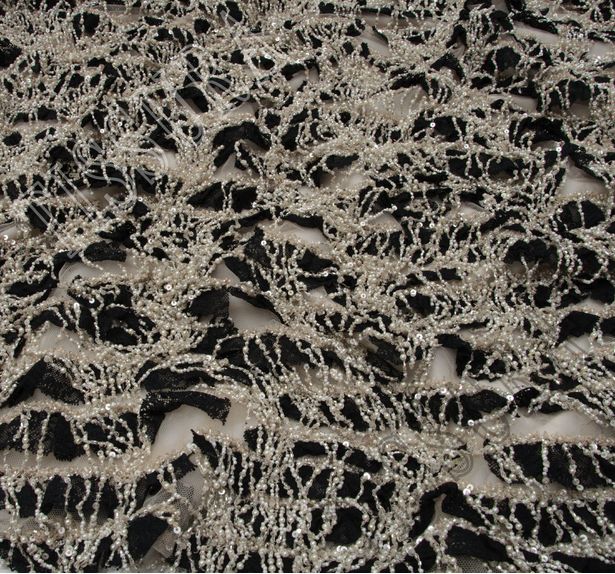 Embroidered Lace Trim Tulle #4