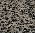 Embroidered Lace Trim Tulle #4