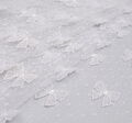 Bow Applique Tulle #4