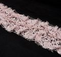 Embroidered Chantilly Lace Trim #4