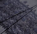 Cotton Poplin #3