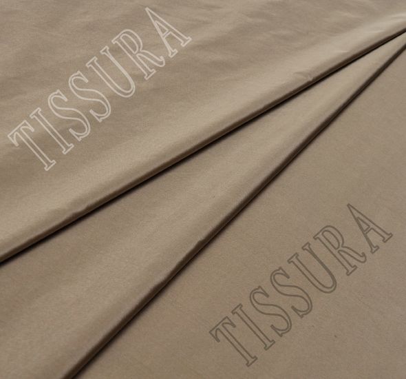 Shot Silk Taffeta #1