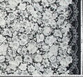 Applique Embroidered Chantilly Lace #2