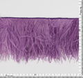 Ostrich Feather Trim #2
