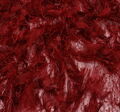Feather Embroidered Tulle #4