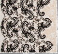 Embroidered Chantilly Lace #2