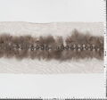 Feather Trim #2