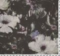 Silk Georgette #2