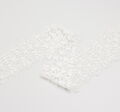 Embroidered Lace Trim #3