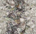 Silk Chiffon #4
