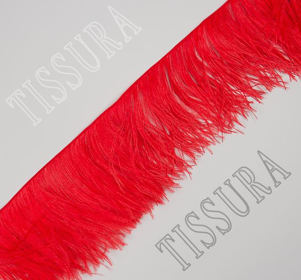 Ostrich Feather Trim #1