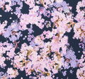 Silk Crepe de Chine #2