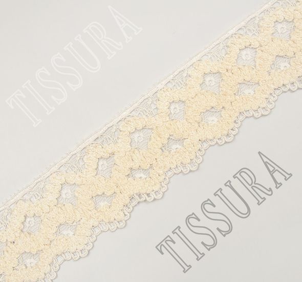 Embroidered Lace Trim #1