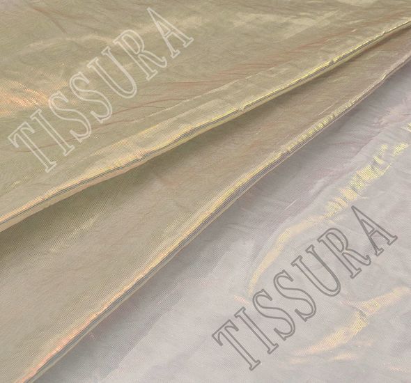 Lame Effect Organza #1